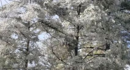 Sierra de Santiago luce manto blanco