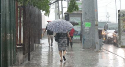 Nuevo León cerró el 2024 con lluvias dentro de la media histórica: Conagua