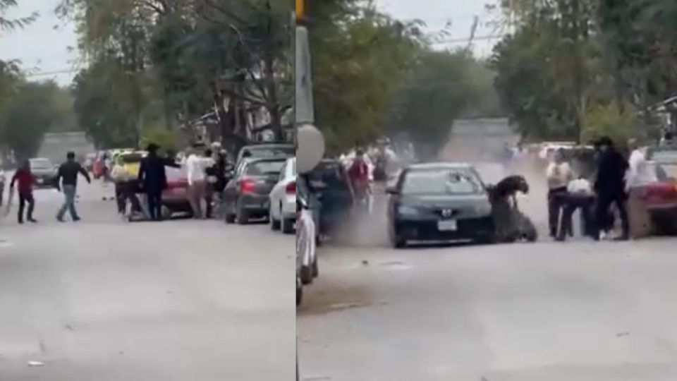 Video muestra un momento de la riña de vecinos en Guadalupe.