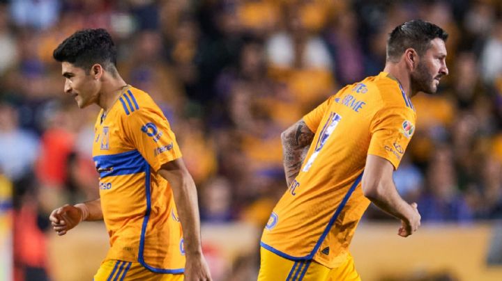 Tigres: Ibáñez titular, pero sin aprovecharlo: ¿Es momento de Gignac?