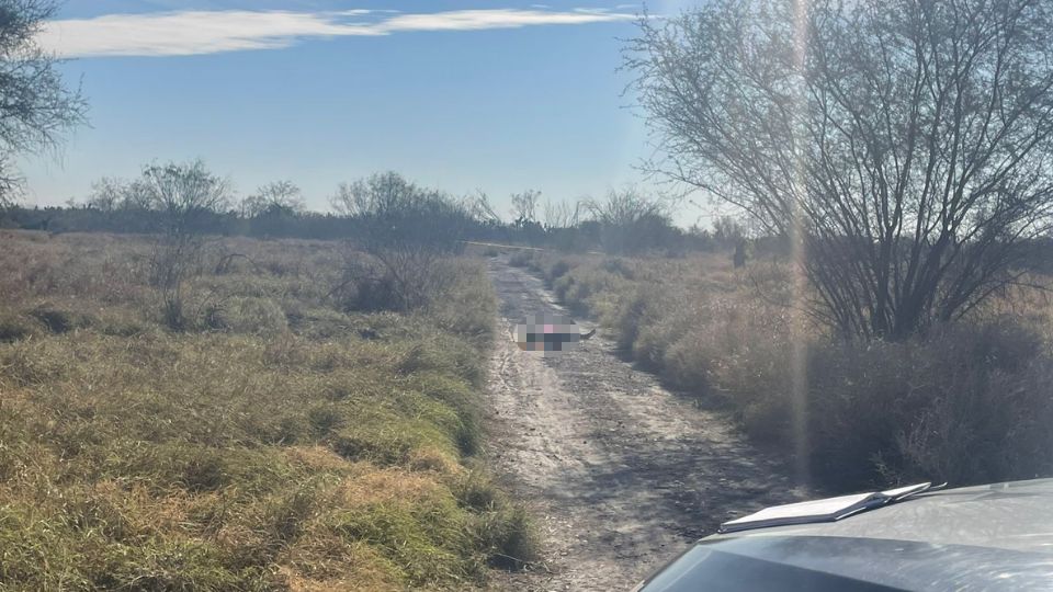 Cuerpo de mujer en brecha en Ciénega de Flores