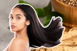 ¿Se te cae el cabello? Revelan la planta que puede ayudar a que te crezca