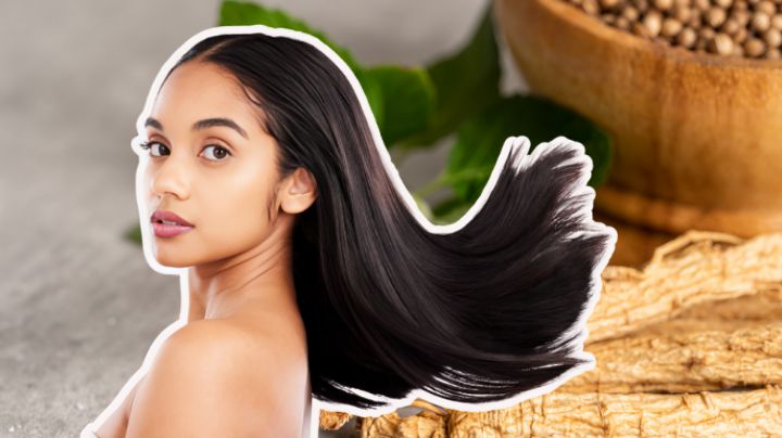 ¿Se te cae el cabello? Revelan la planta que puede ayudar a que te crezca