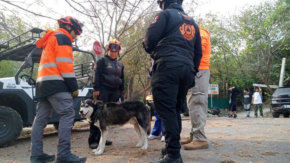 Perrito perdido en el Cerro de la Silla fue rescatado hoy viernes | Facebook / Protección Civil