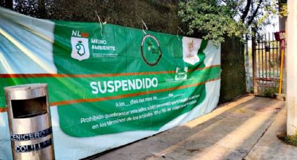 Colocan segunda manta de suspensión a Zinc Nacional