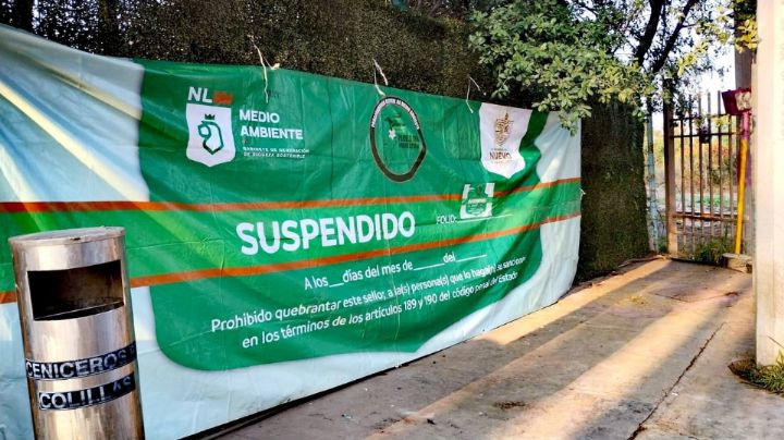 Colocan segunda manta de suspensión a Zinc Nacional