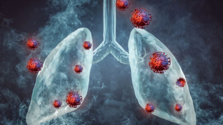 India detecta 2 casos de virus respiratorio tras brote en China