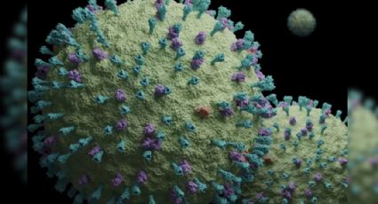 Secretaria de Salud descarta riesgos por el 'metapneumovirus' en NL