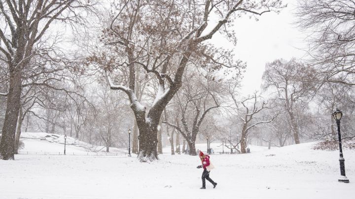 Tormenta invernal causa apagones e interrumpe miles de vuelos en Estados Unidos