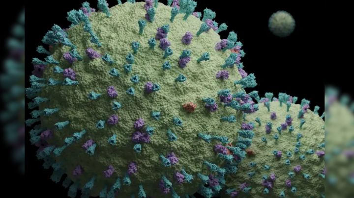 Secretaria de Salud descarta riesgos por el 'metapneumovirus' en NL