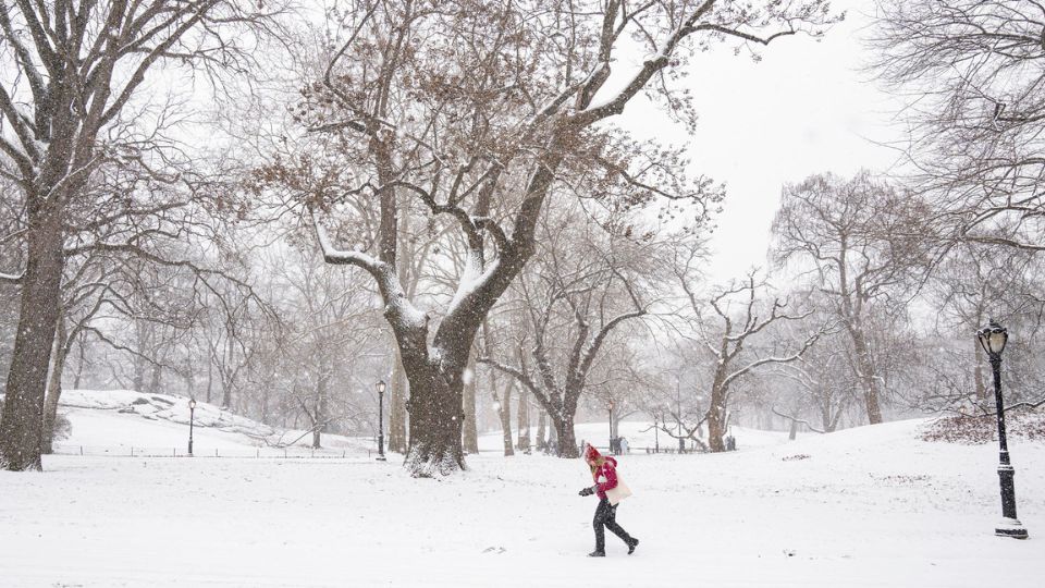 Una mujer camina durante una nevada este lunes, en el Central Park de Nueva York  | EFE/ Ángel Colmenares