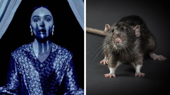 Nosferatu: ¿Cómo fue que 5 mil ratas infestaron el set de grabación?