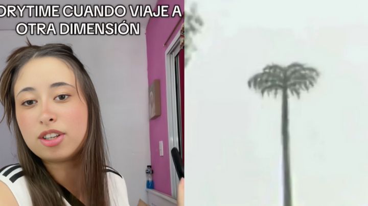 TikToker asegura haber viajado a otra dimensión: Su historia se hace viral | VIDEO