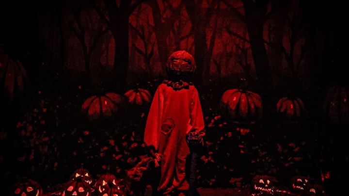 Expo Miedo 2025 en San Nicolás: fechas, horarios y cómo entrar gratis