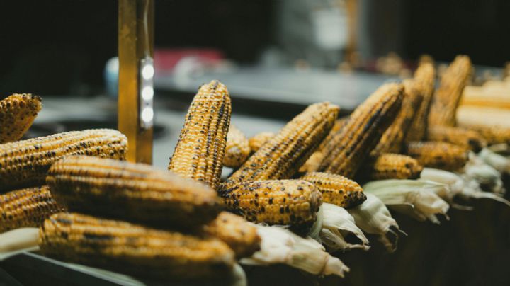Receta para hacer elotes tipo Monterrey: el antojito regio más famoso