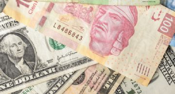 Banxico bajo la lupa: Así se cotiza el peso mexicano frente al dólar este 3 de noviembre