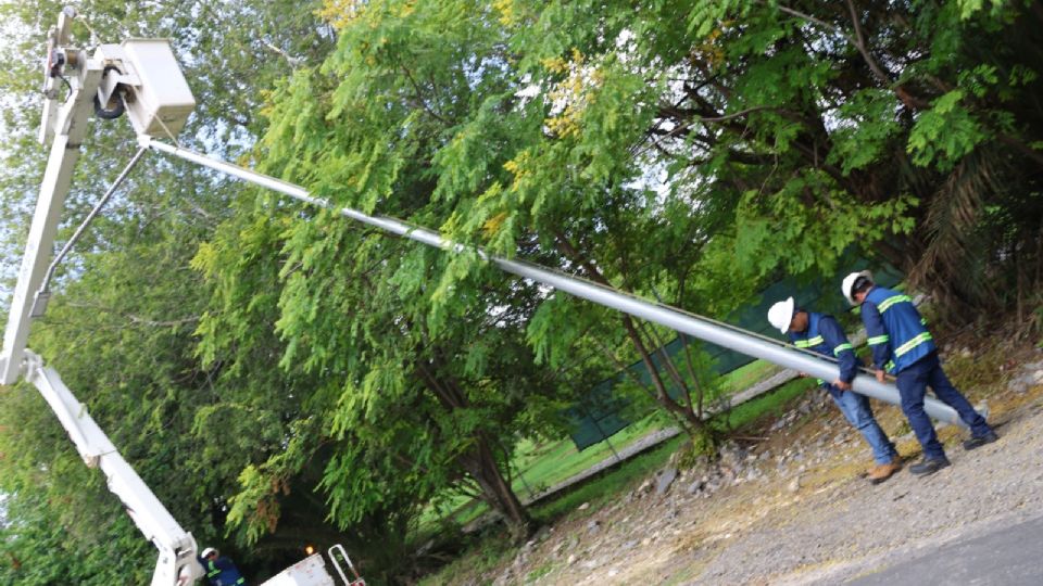 Se colocarán 321 postes de 9 metros de altura y 50 postes de 7 metros.