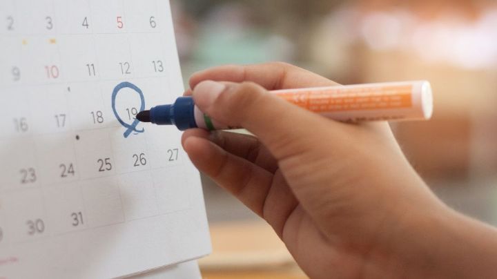 ¿Cuántas semanas y días de descanso restan en 2025? Conoce el calendario completo