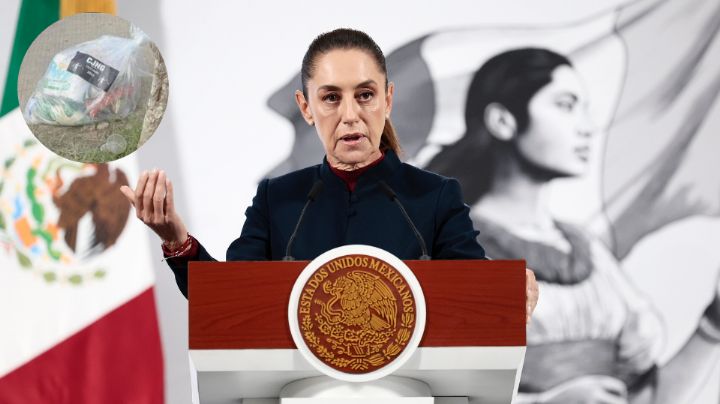 Sheinbaum: Sin 'certeza' de que el crimen organizado ayude a los afectados por lluvias