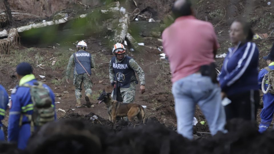 Aumentan cifras de muertos y desaparecidos por lluvias en México.