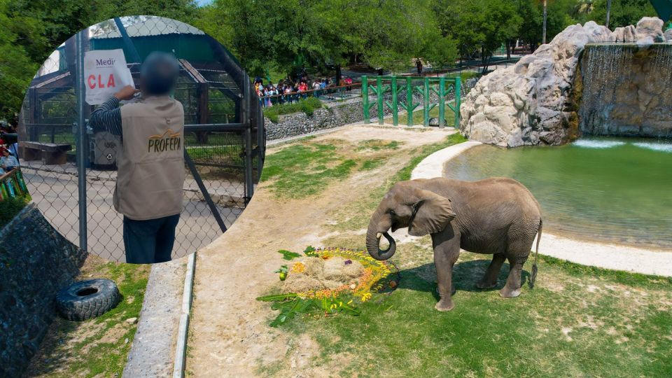 Profepa levanta clausura temporal a La Pastora | Facebook / Zoológico La Pastora