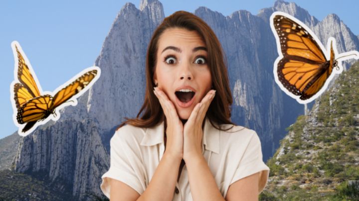 Estos son los mejores lugares para ver el paso de las mariposas monarca en Nuevo León