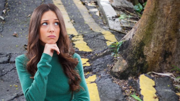 ¿Quién debe reparar la banqueta frente a mi casa si la levantó un árbol en Monterrey?