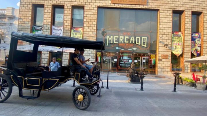 ¿Qué son las calandrias y cuál es su objetivo de llegar a Monterrey?