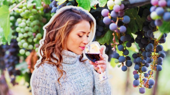 Este pueblo tiene el viñedo más bonito del norte y esto cuesta una cata con vista a las montañas