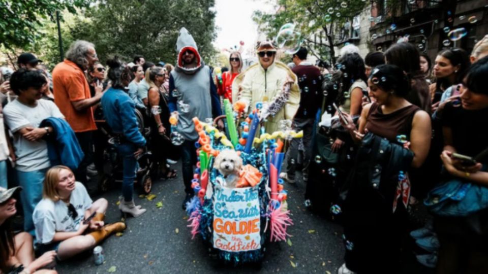 Desfile de disfraces donde los perritos fueron las principales estrellas.