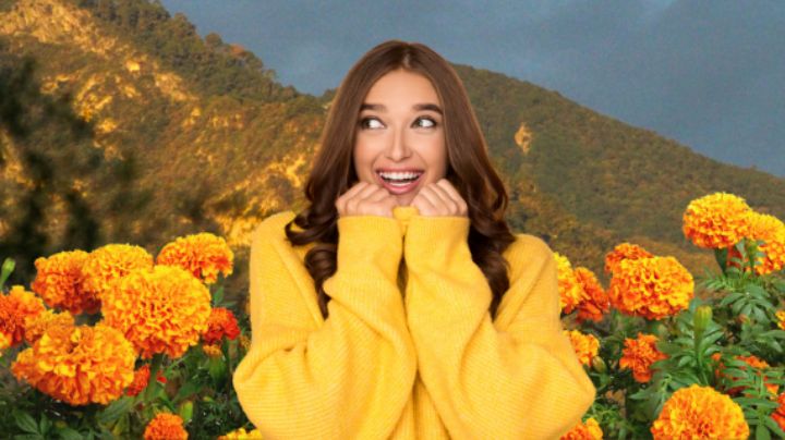 Campo de cempasúchil NL: belleza, fotos y montaña, ¡sin costo de entrada!