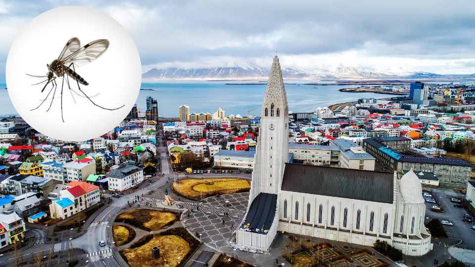 Reikiavik, capital de Islandia