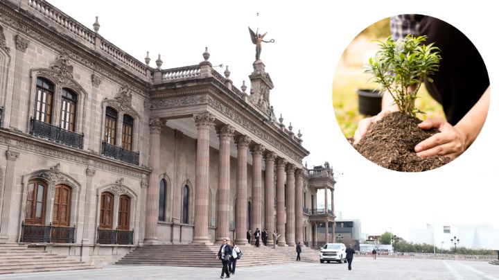 Estado fija que reforestación de Explanada de los Héroes estaría lista en 3 meses