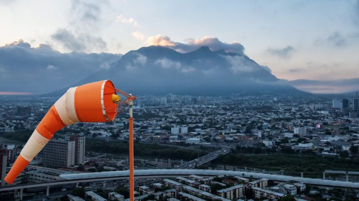 ¡Cuidado con los árboles! Llegarán vientos de hasta 80 km/h a Nuevo León
