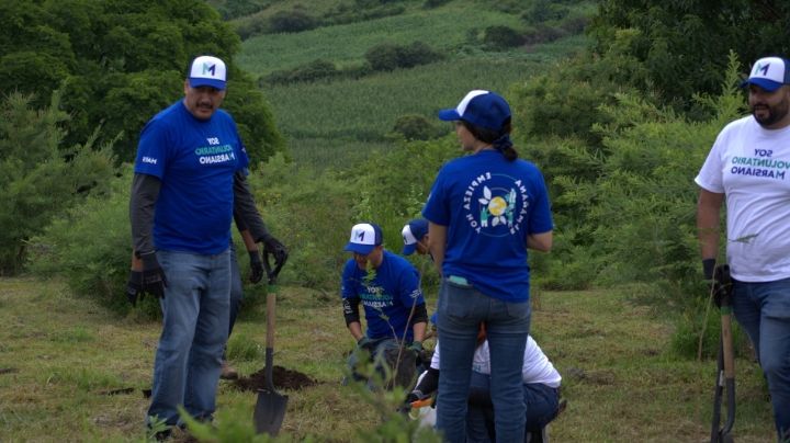 Mars: Equilibrio financiero con responsabilidad