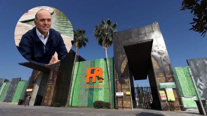 Estado desafía a Profepa; señala que clausura de La Pastora fue acto politizado