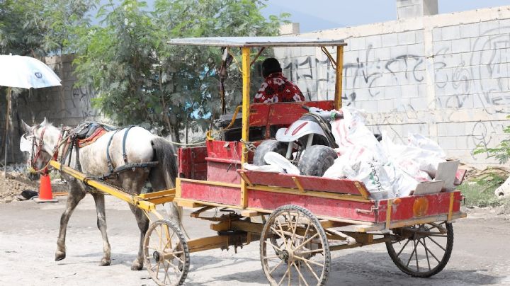 Guadalupe sustituirá el uso de animales en carretas por vehículos motorizados
