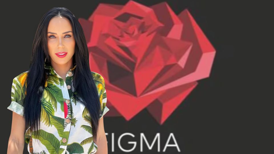 La desaparición de la Fundación FIGMA ocurre tras el escándalo de su creadora Inés Gómez Mont quien es buscada por las autoridades