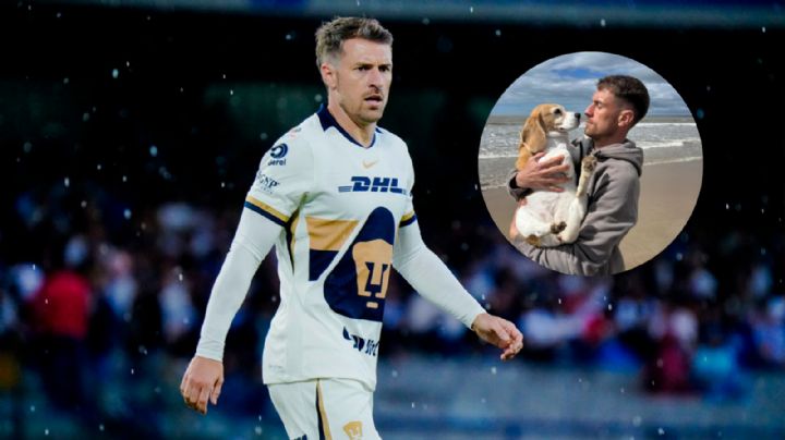 Liga MX: Aaron Ramsey deja México ¿se fue por el tema de su mascota 'Halo'?