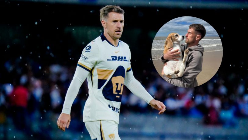 Liga MX: Aaron Ramsey deja México ¿se fue por el tema de su mascota 'Halo'?