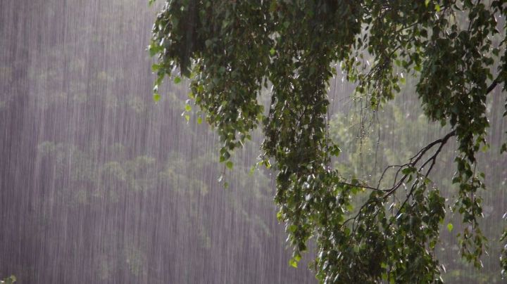 ¡Alista tu paraguas! Alertan por lluvia fuerte para hoy en Nuevo León