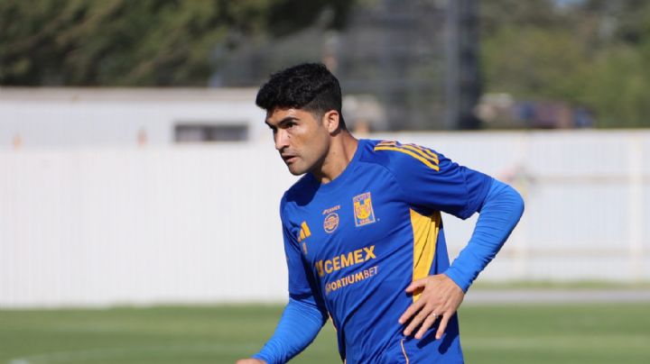 Tigres: Nicolás Ibáñez sigue trabajando diferenciado, ¿llegará al partido contra Necaxa?