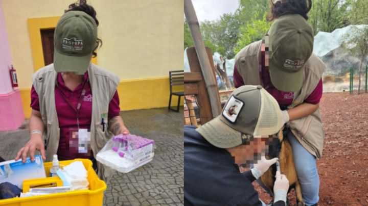 Profepa realiza segunda inspección en La Pastora; registra avances