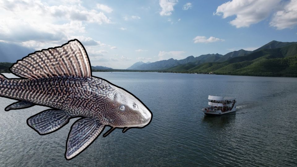 Presa de la Boca