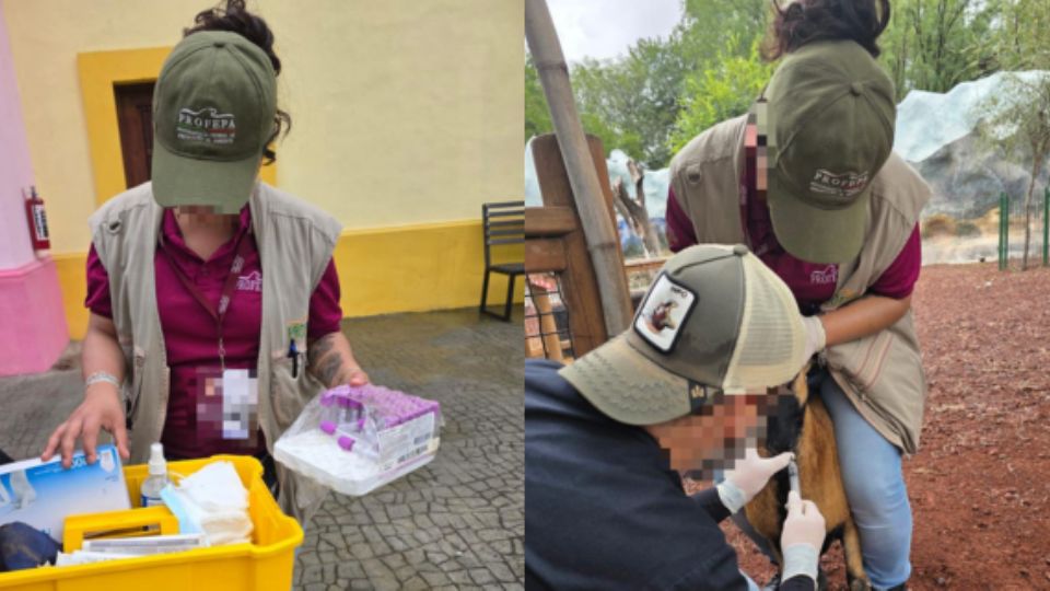 Personal de la Profepa.