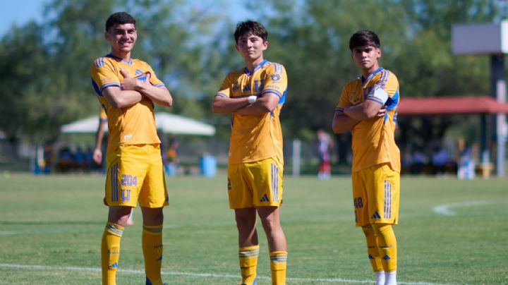 Tigres consolida su poder en Fuerzas Básicas con presencia en todas las Liguillas