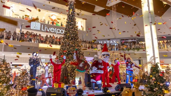 ¡Galerías Monterrey ilumina la Navidad con su tradicional pino!