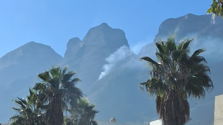Surge incendio forestal en el Cerro de las Mitras