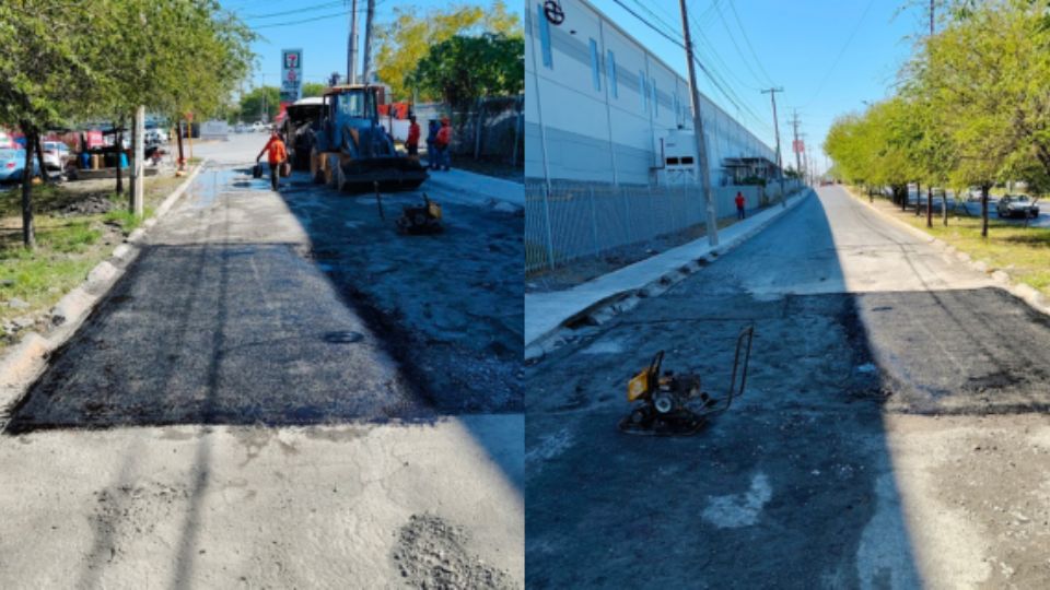 Bache tapado en Guadalupe.