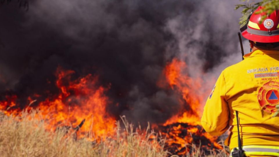 Bombero de Nuevo León.